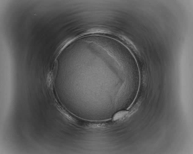 X0000116491369200912161310