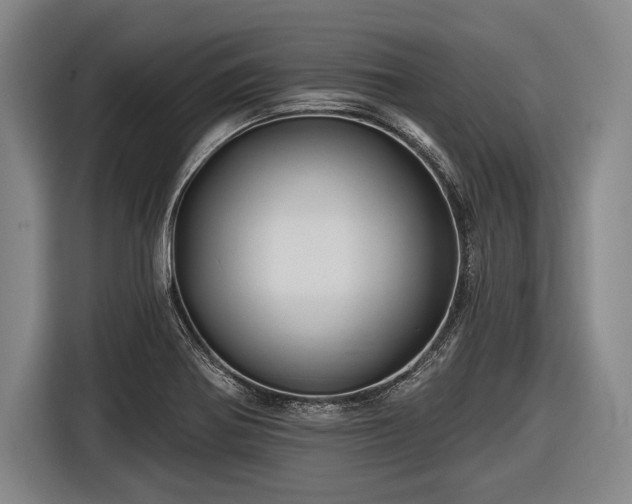 X0000116491370200912161310