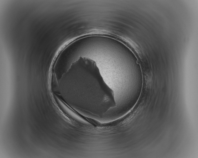 X0000116491371200912161310