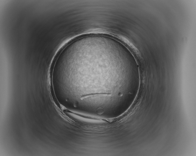 X0000116491372200912161310