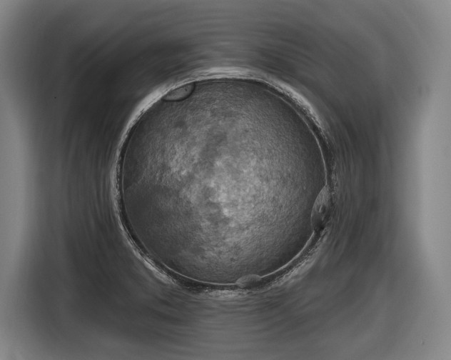 X0000116491373200912161310