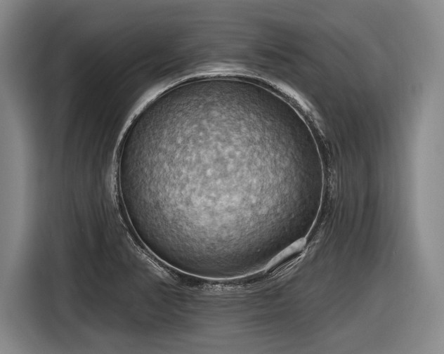 X0000116491374200912161310