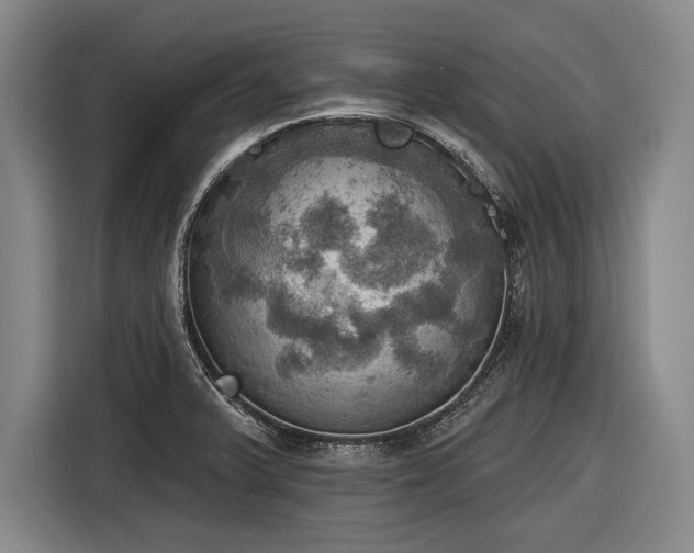 X0000116491375200912161310