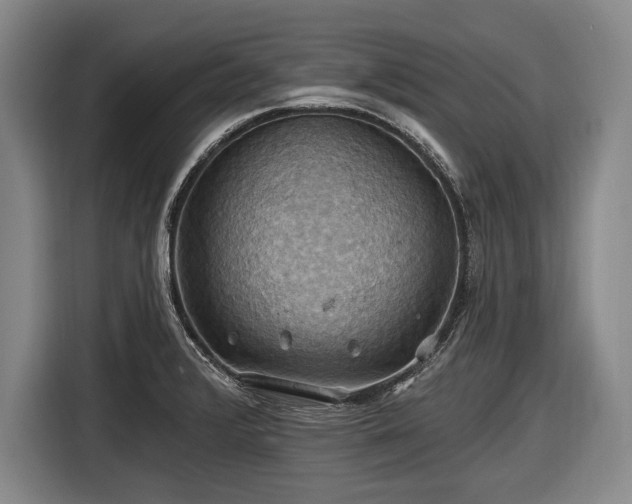 X0000116491376200912161310