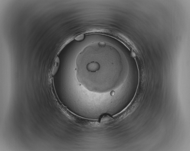 X0000116491377200912161310