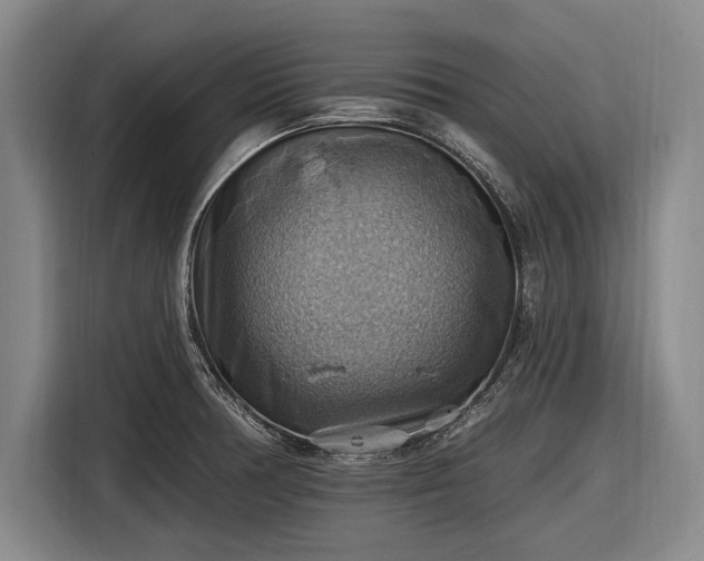 X0000116491378200912161310