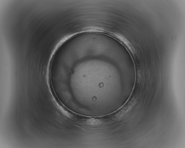 X0000116491379200912161310