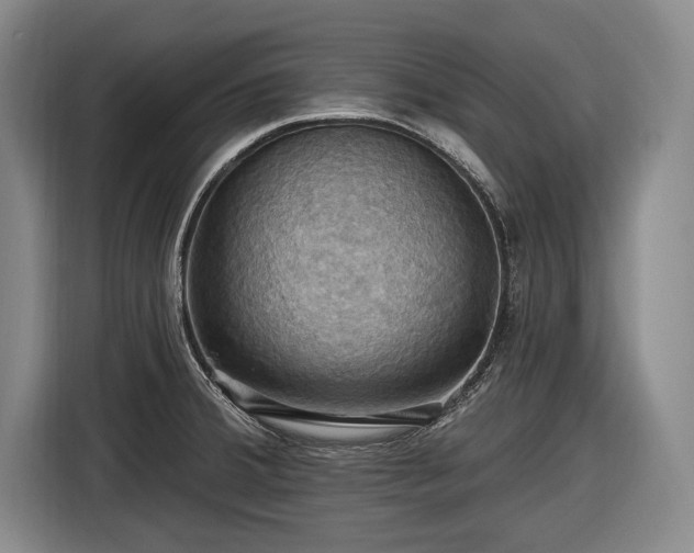 X0000116491380200912161310