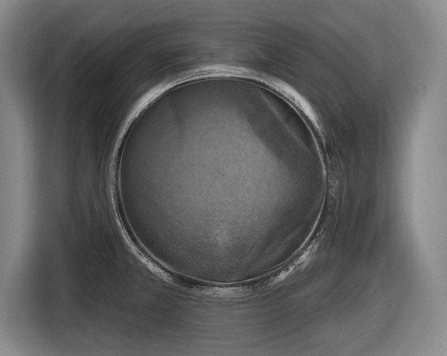 X0000116491381200912161310