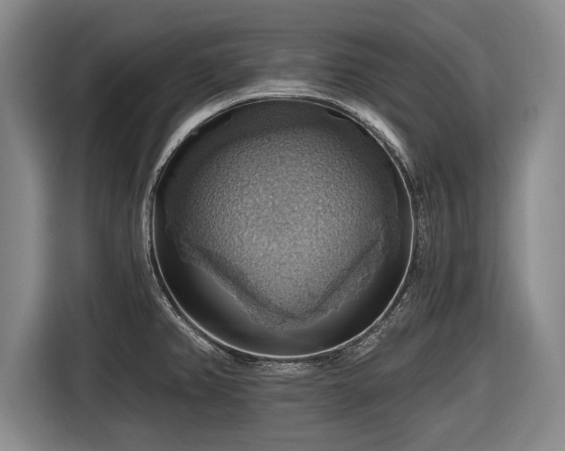 X0000116491382200912161310