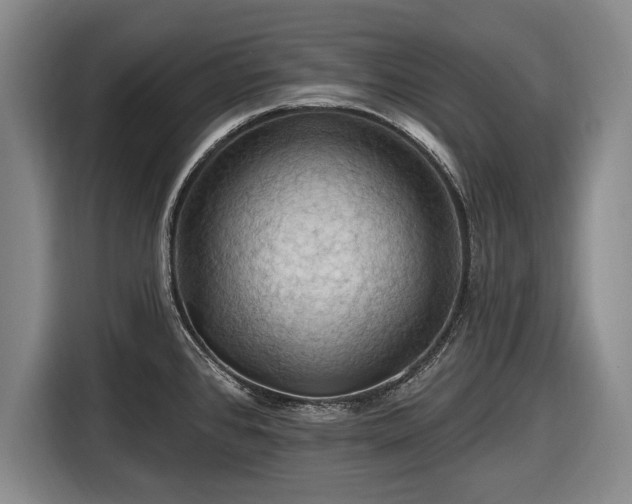 X0000116491384200912161310