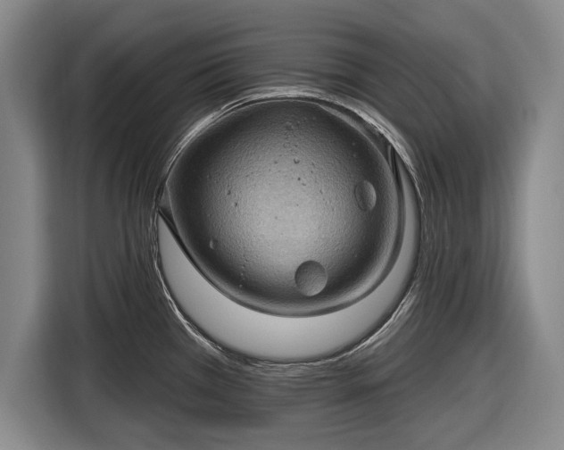 X0000116491385200912161310