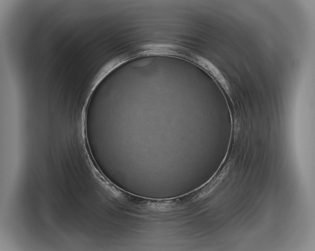 X0000116491386200912161310