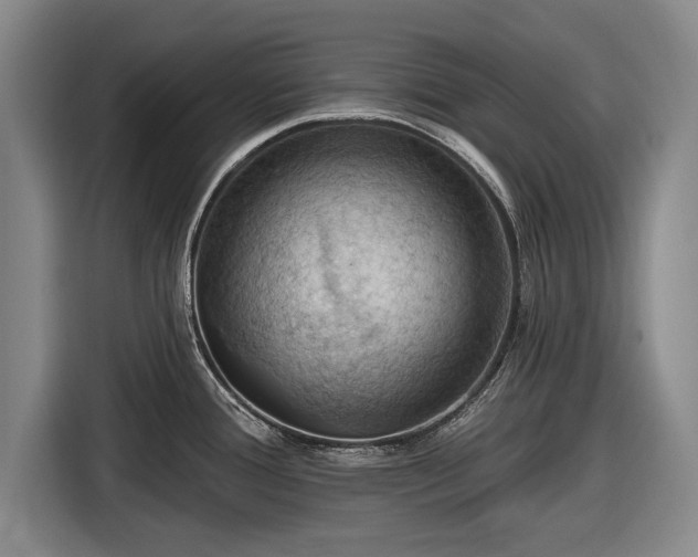 X0000116491388200912161310