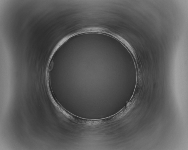 X0000116491389200912161310