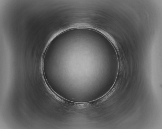 X0000116491390200912161310