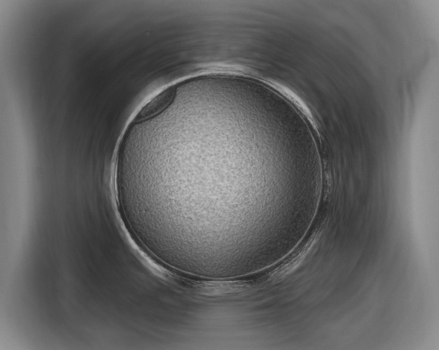 X0000116491391200912161310