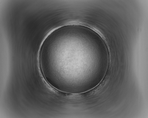 X0000116491392200912161310