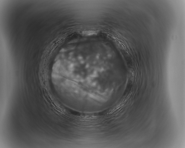 X0000116491393200912161309