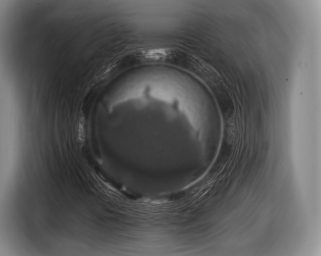 X0000116491394200912161309