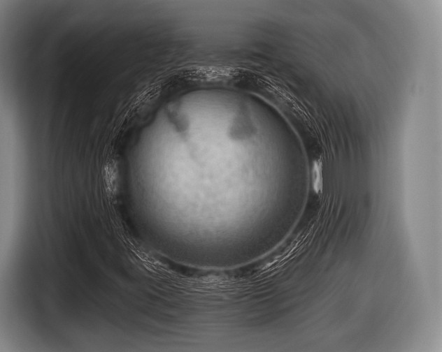 X0000116491395200912161309