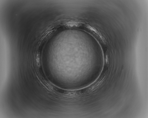 X0000116491396200912161309