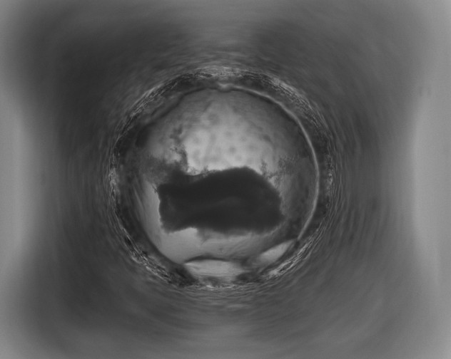 X0000116491397200912161309