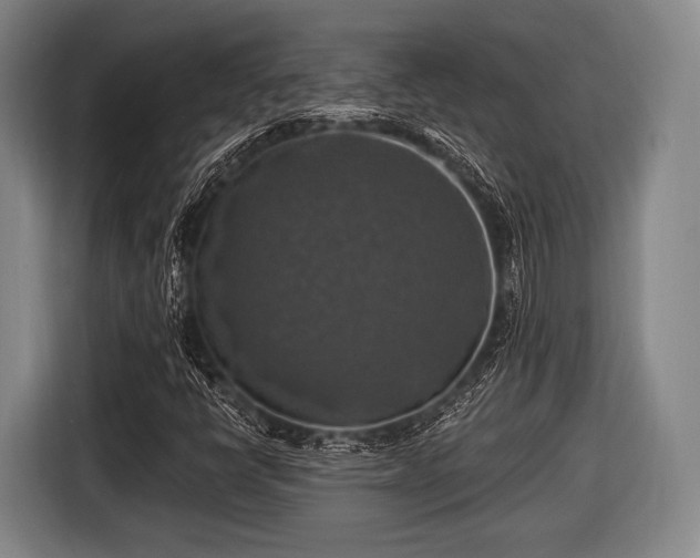 X0000116491398200912161309