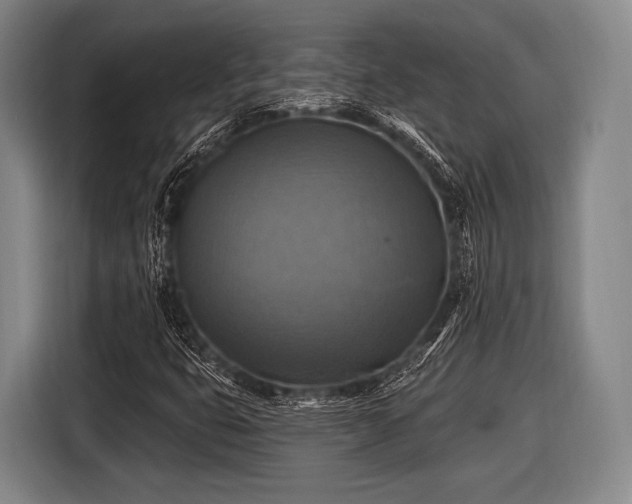 X0000116491399200912161309