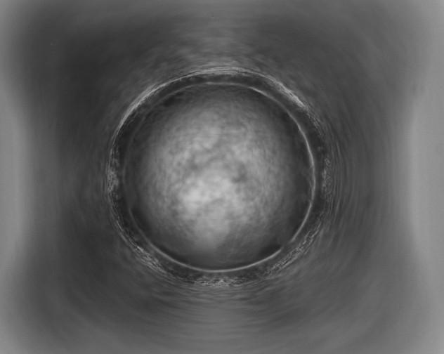 X0000116491400200912161309