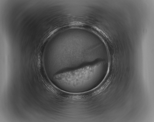 X0000116491401200912161309