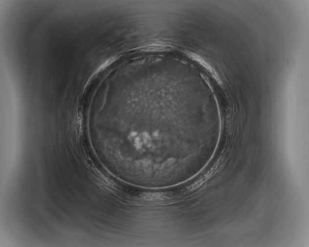 X0000116491402200912161309