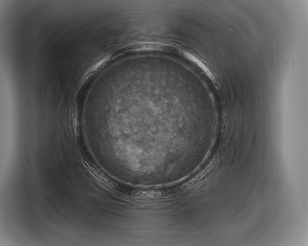 X0000116491403200912161309