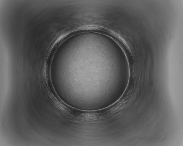 X0000116491404200912161309