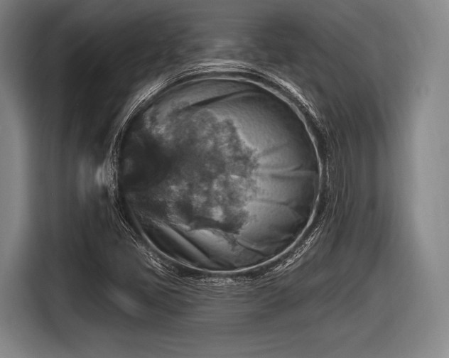 X0000116491405200912161309