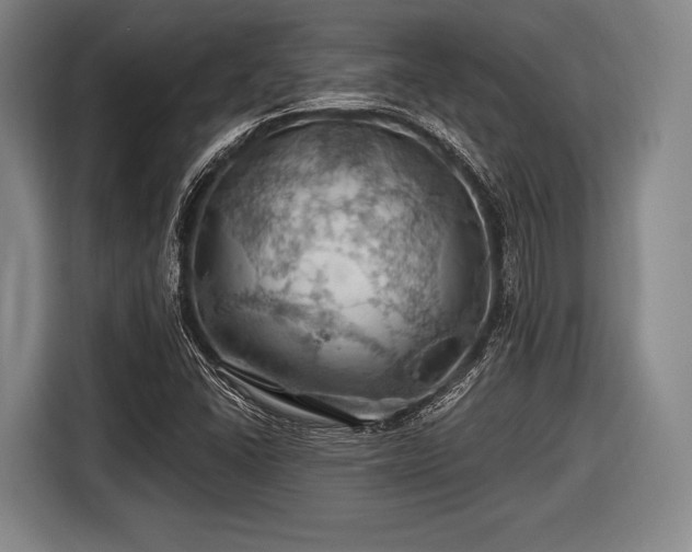 X0000116491406200912161309