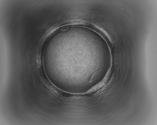 X0000116491407200912161309