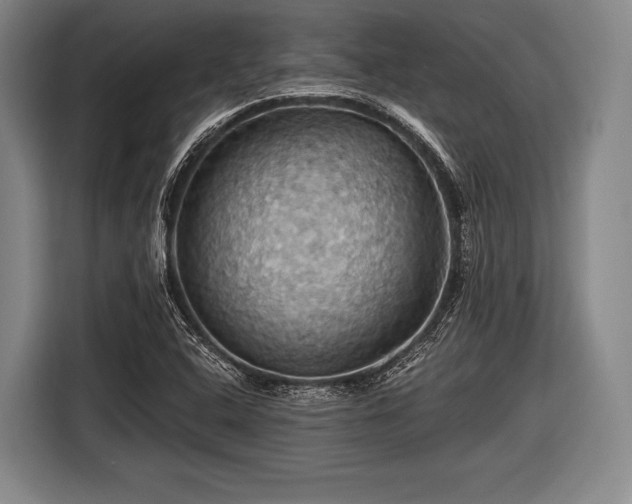 X0000116491408200912161309