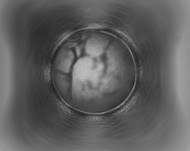 X0000116491409200912161309