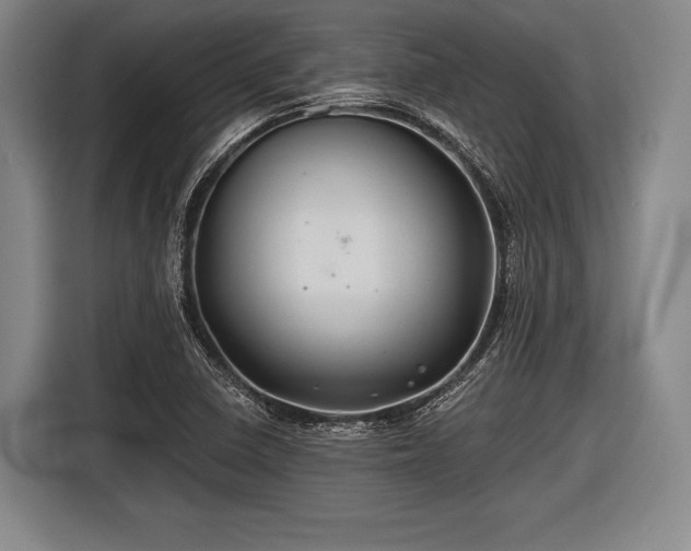 X0000116491410200912161309