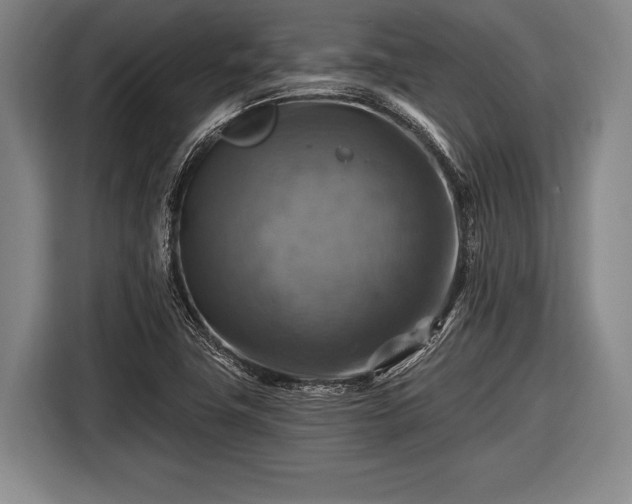 X0000116491411200912161309