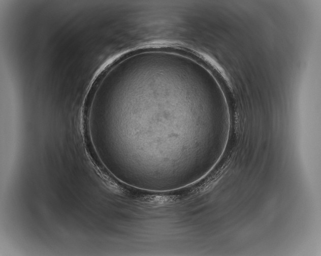 X0000116491412200912161309