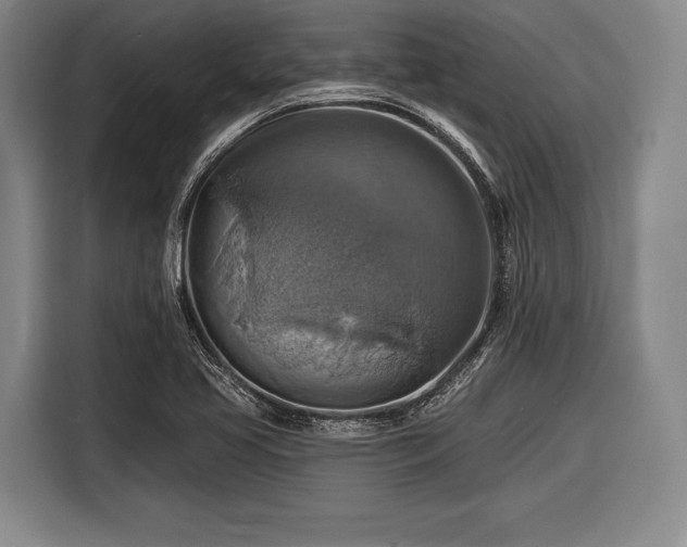 X0000116491413200912161309