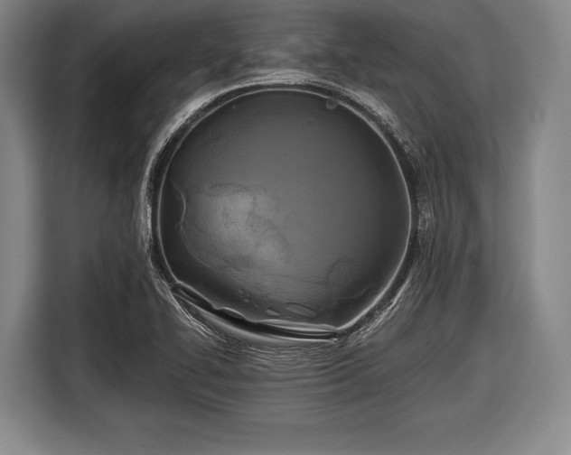 X0000116491414200912161309