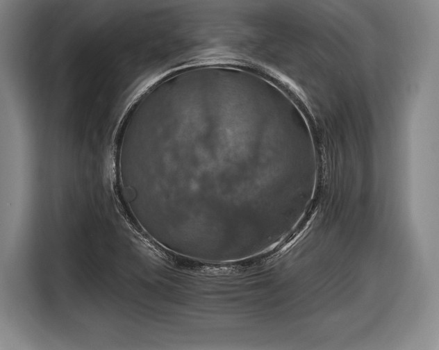 X0000116491415200912161309