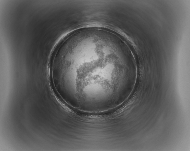 X0000116491416200912161309