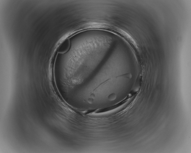 X0000116491419200912161309