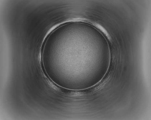 X0000116491420200912161309