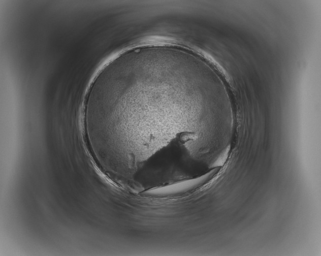 X0000116491421200912161309