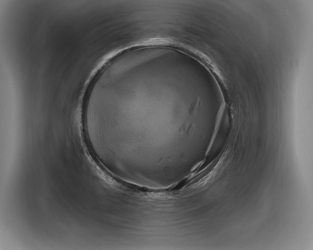 X0000116491422200912161309